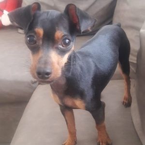 Meet your Posher, Katty